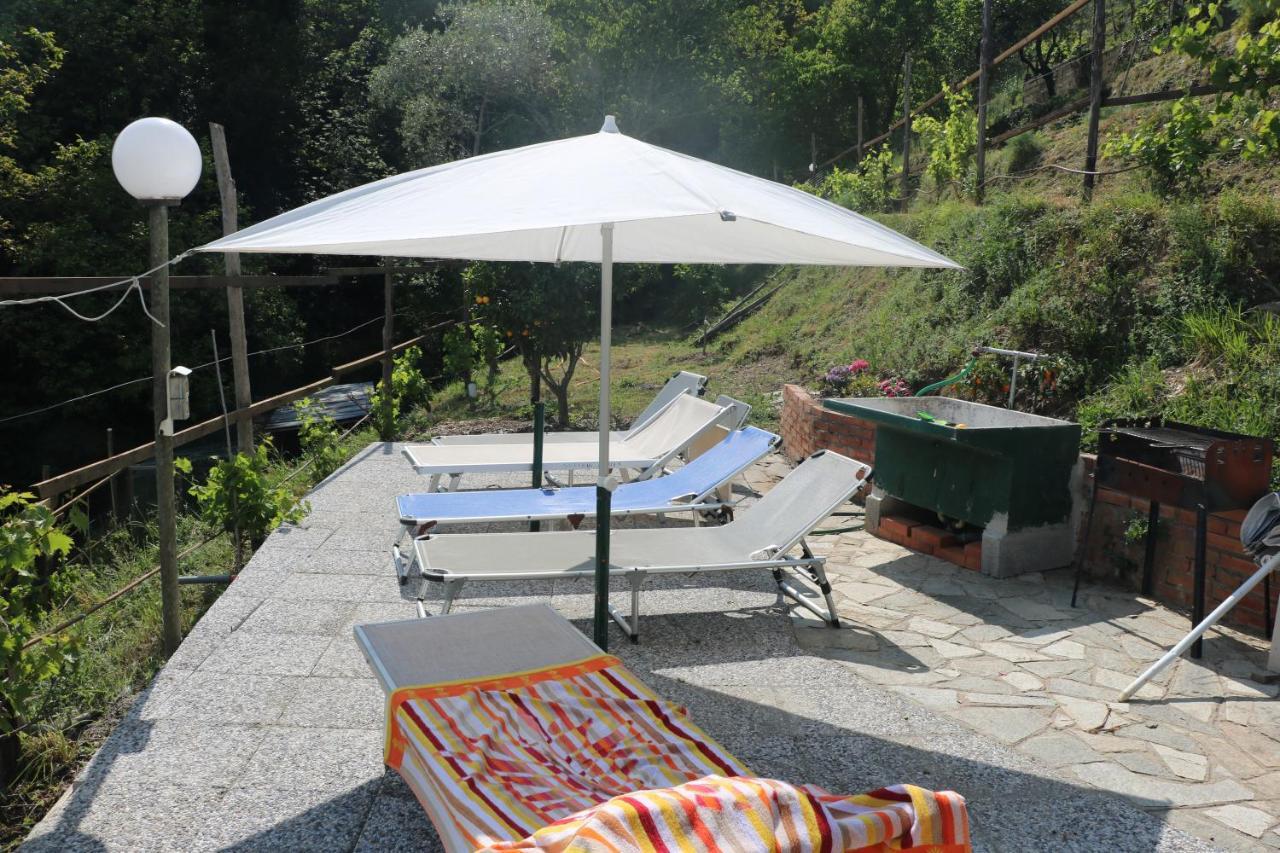Villa Maremonti - Con 3 Piscine Sestri Levante Exteriör bild